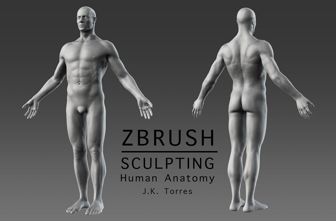 ZBrush Character Sculpting Human Anatomy_800px.jpg